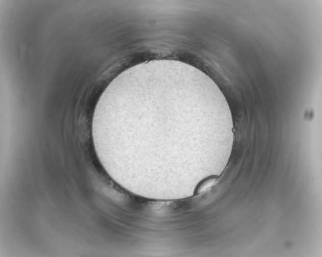 X0000093560136200711121023