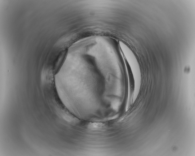 X0000093560137200711121023