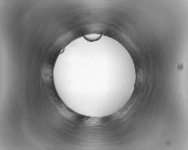 X0000093560138200711121023
