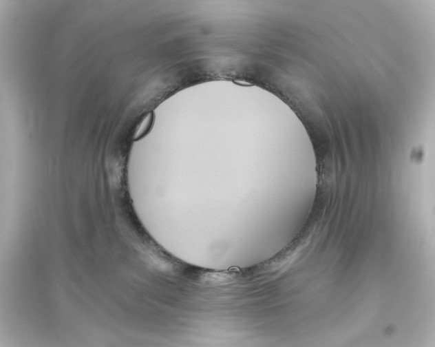 X0000093560139200711121023
