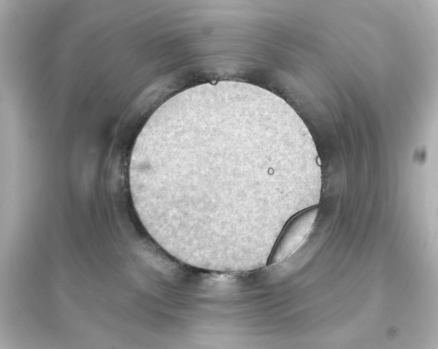 X0000093560140200711121023