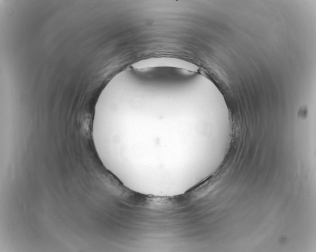 X0000093560141200711121023
