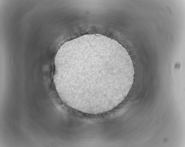 X0000093560144200711121022