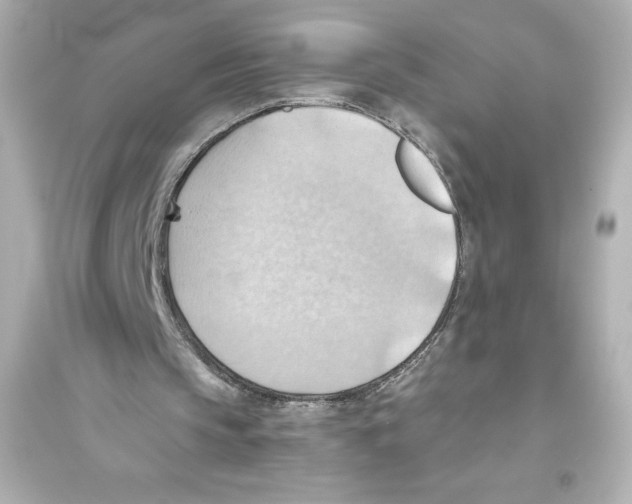 X0000093560145200711121022