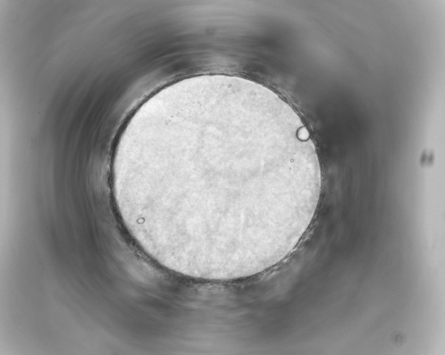 X0000093560146200711121022