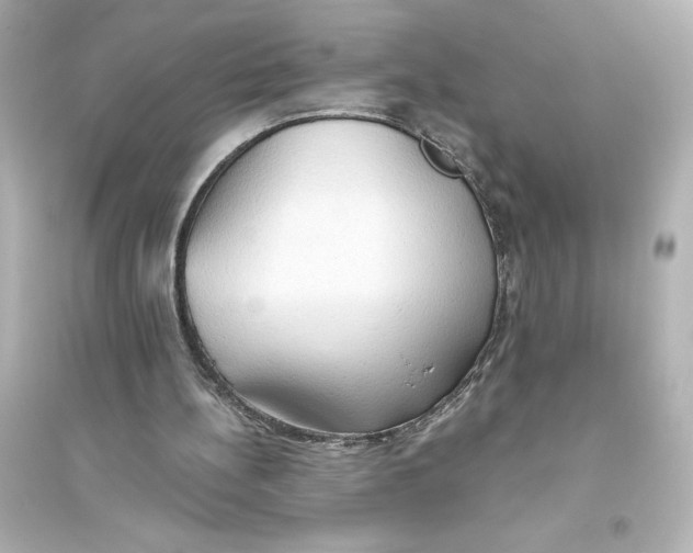 X0000093560148200711121022