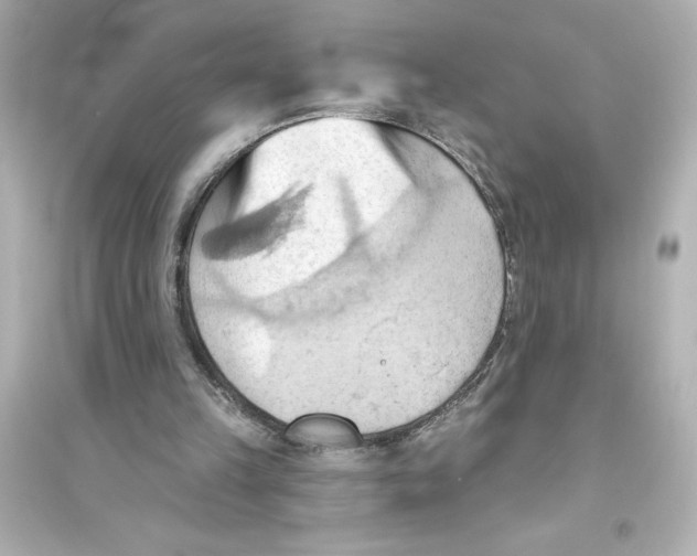 X0000093560149200711121022