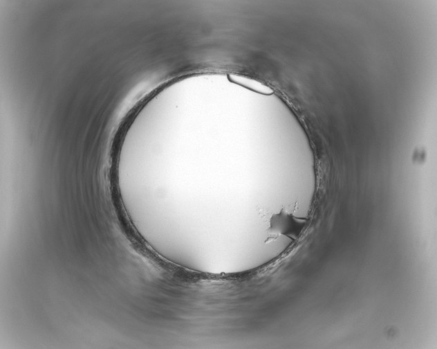 X0000093560150200711121022
