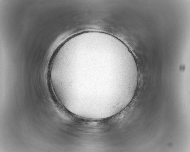 X0000093560151200711121022