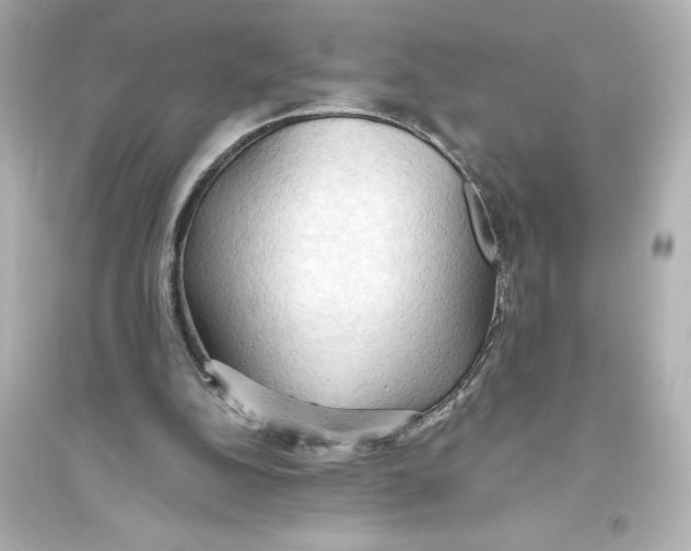 X0000093560152200711121022