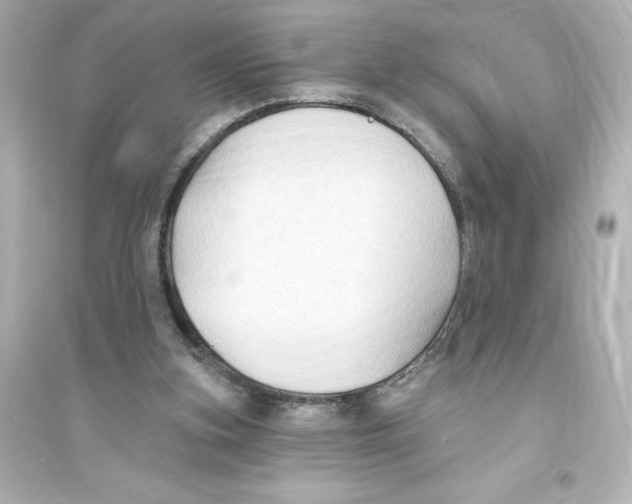 X0000093560155200711121022