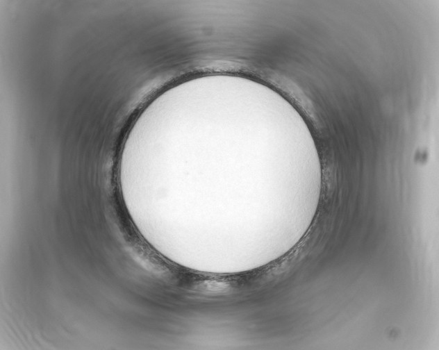 X0000093560159200711121022