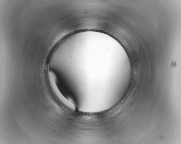 X0000093560160200711121022