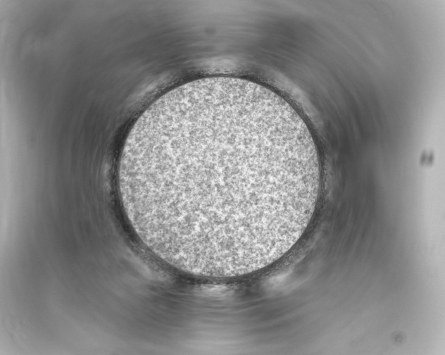 X0000093560161200711121022