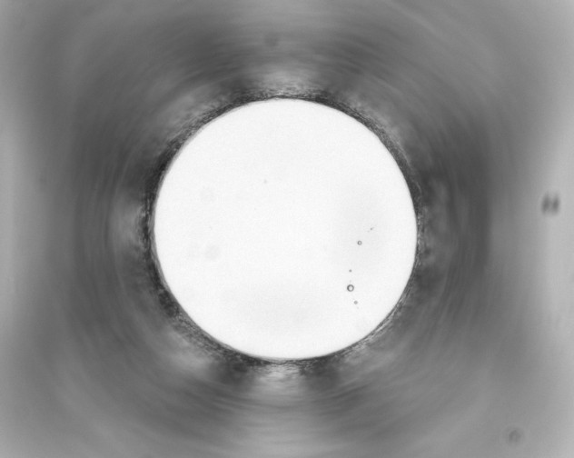 X0000093560162200711121022