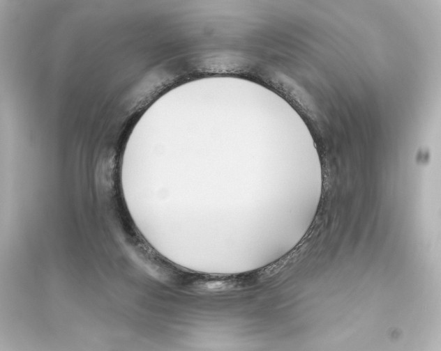 X0000093560163200711121022