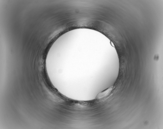 X0000093560164200711121022