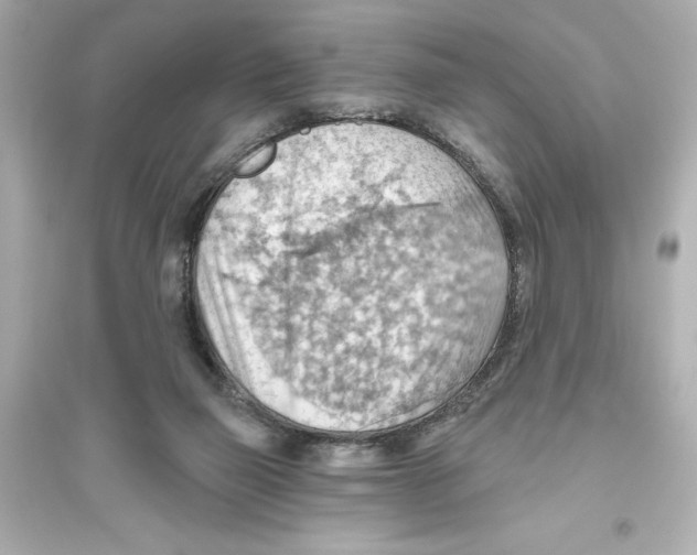 X0000093560165200711121022