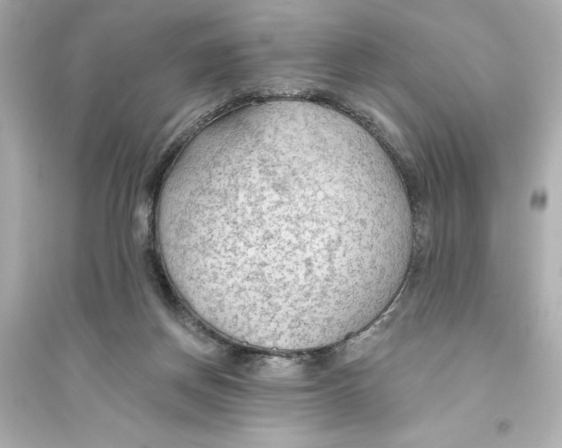 X0000093560166200711121022