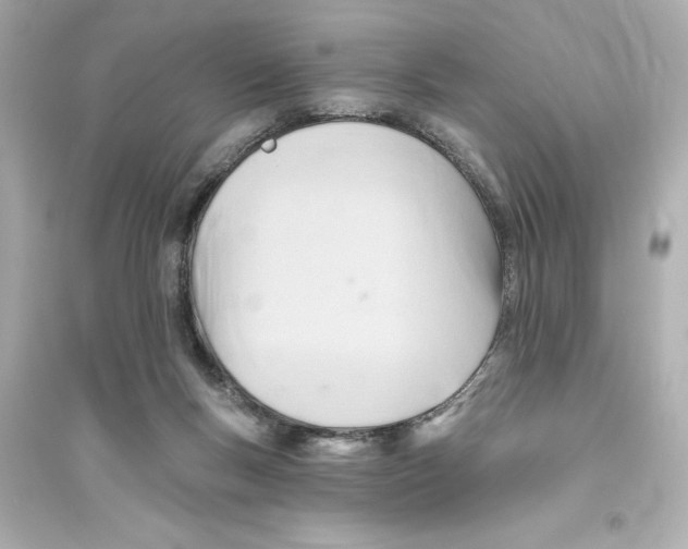 X0000093560167200711121022