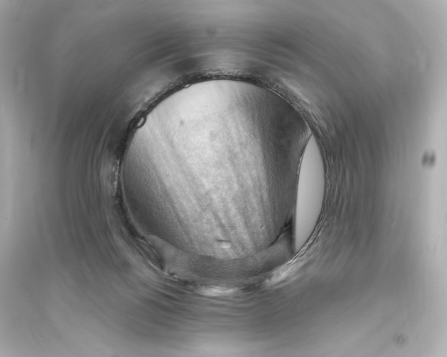 X0000093560168200711121022