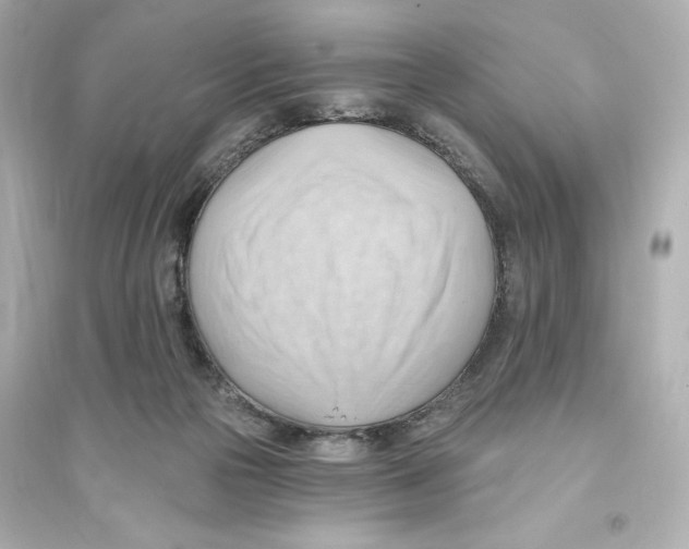 X0000093560169200711121022
