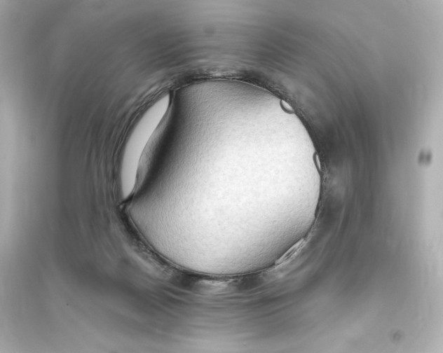 X0000093560170200711121022