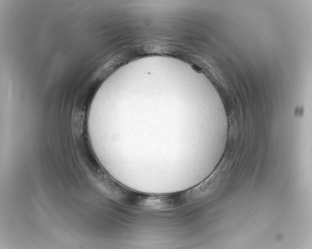X0000093560171200711121022