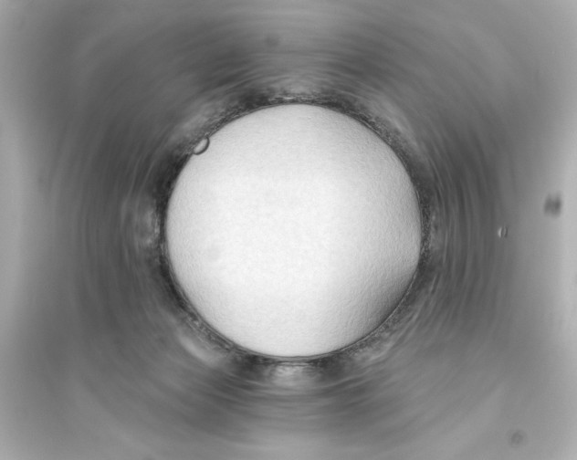 X0000093560173200711121022