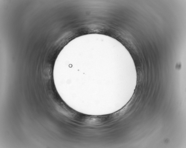 X0000093560174200711121022
