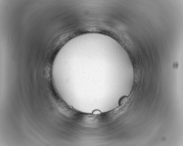 X0000093560175200711121022