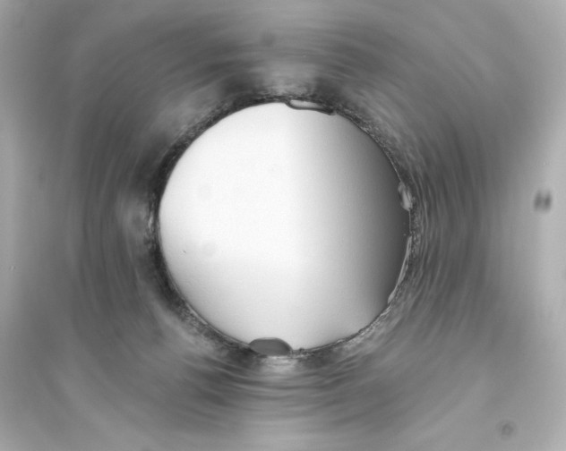 X0000093560176200711121022