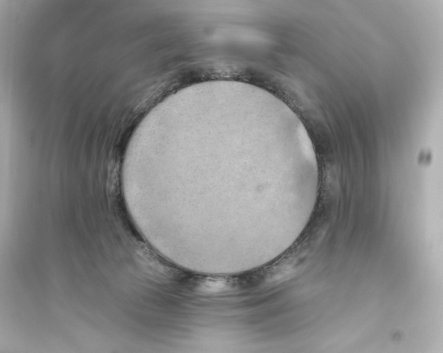 X0000093560177200711121022