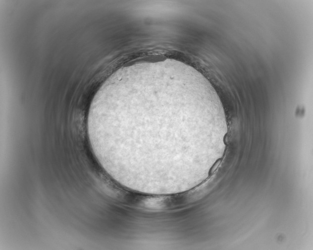 X0000093560178200711121022