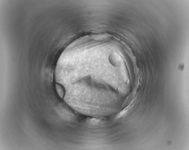 X0000093560180200711121022
