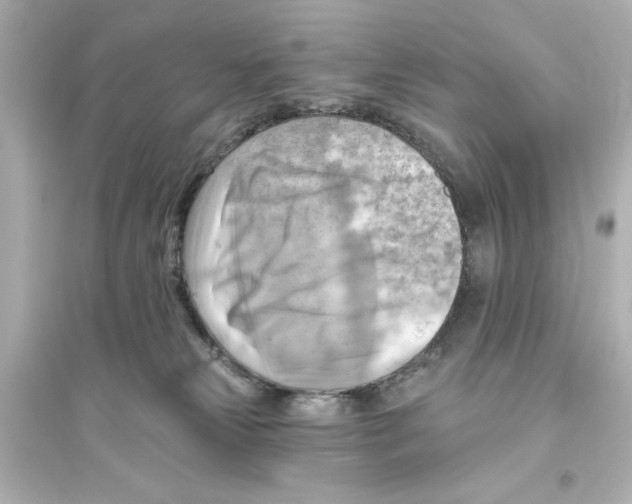 X0000093560181200711121022