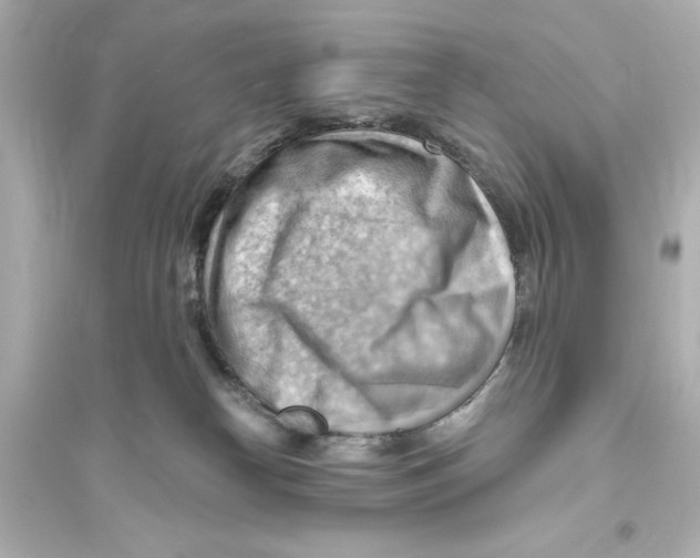 X0000093560182200711121022