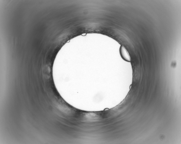 X0000093560183200711121022