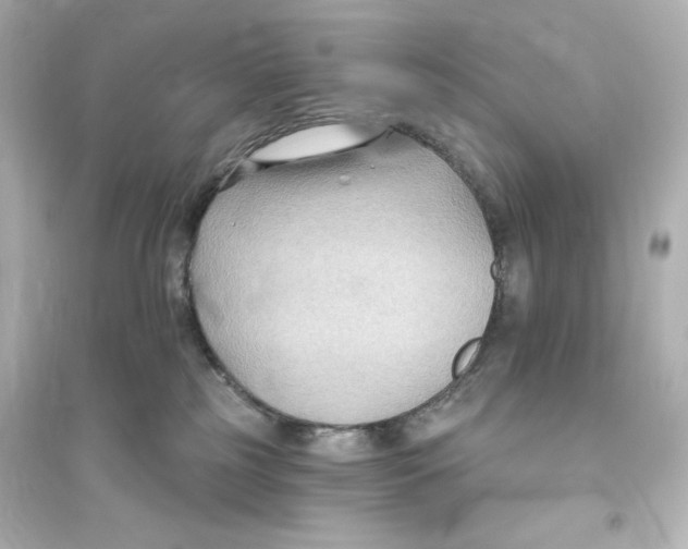 X0000093560185200711121022