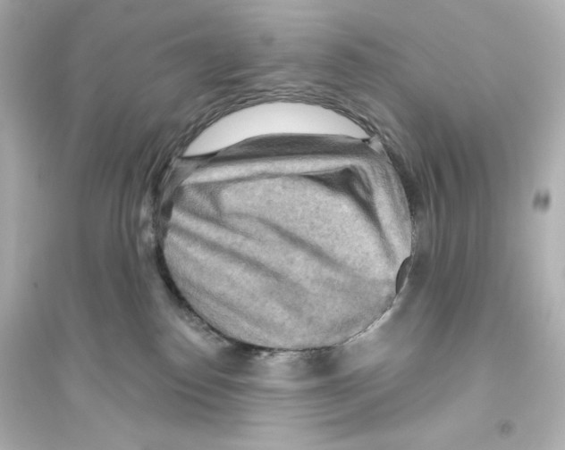 X0000093560186200711121022