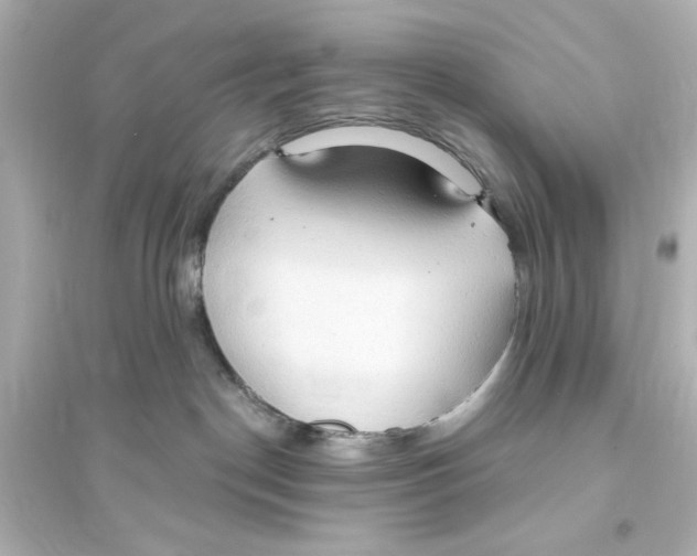 X0000093560190200711121022