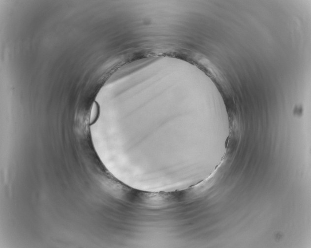 X0000093560191200711121022