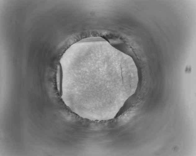 X0000093560192200711121022