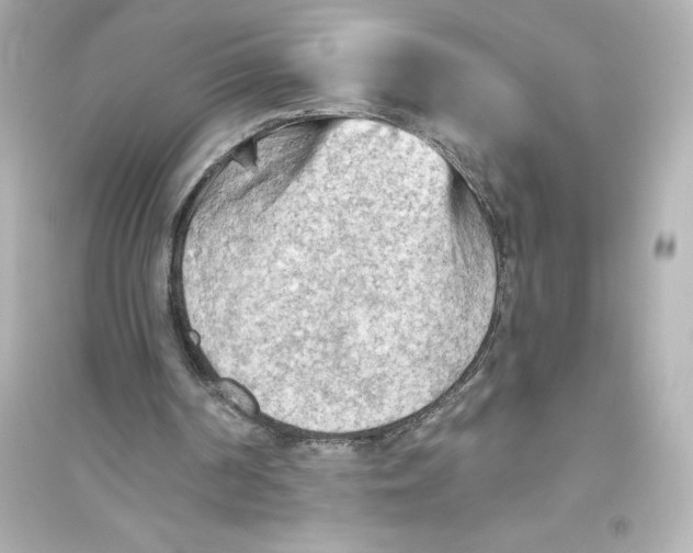 X0000093560194200711121022