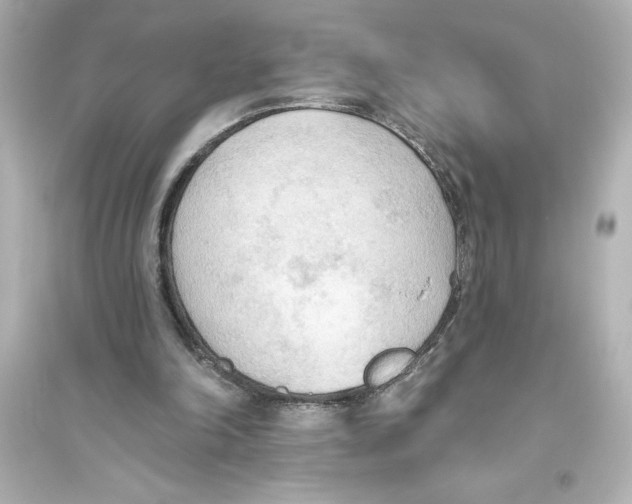 X0000093560198200711121022