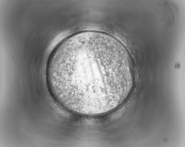 X0000093560199200711121022