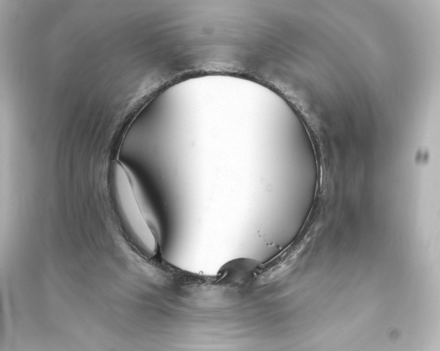 X0000093560201200711121021