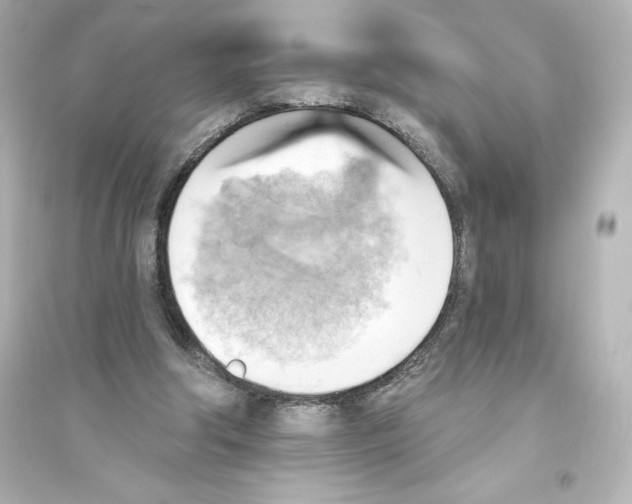 X0000093560202200711121021