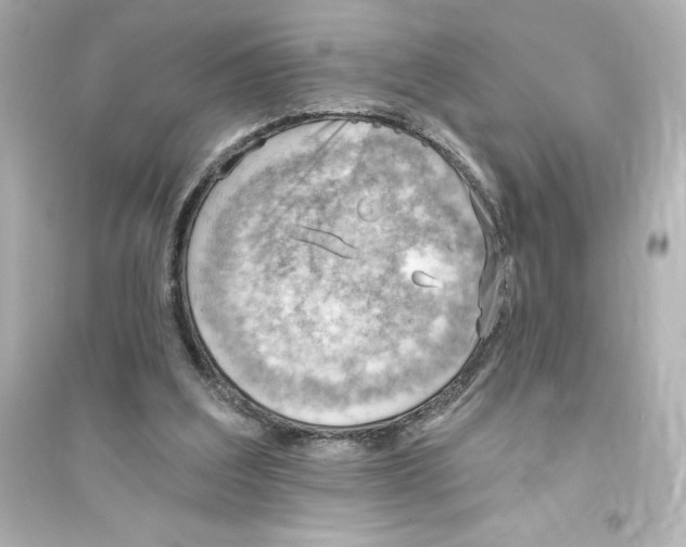 X0000093560203200711121021