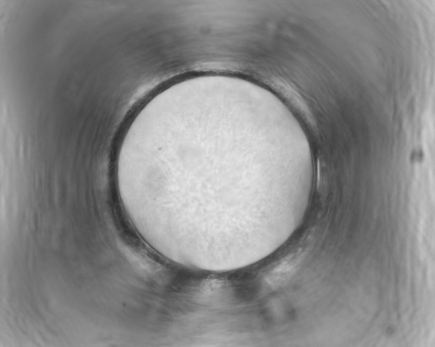 X0000093560204200711121021